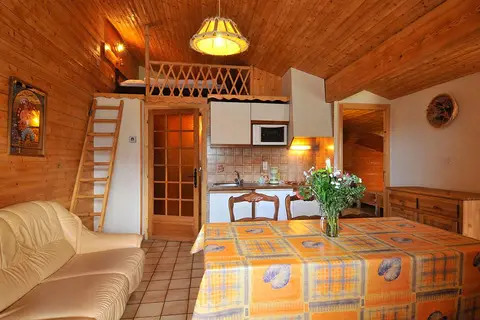 Residence La Flèche d'Or in Châtel — foto 4