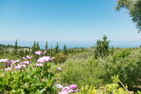 Art Blue Villas in Municipal Unit of Lefkada — foto 14