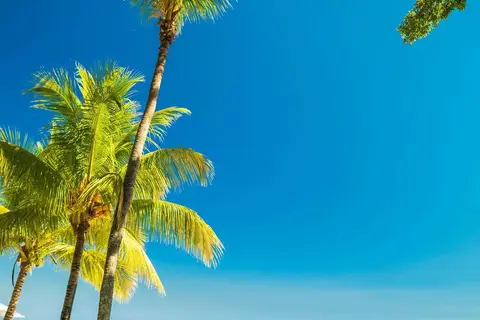 Maritim Resort & Spa Mauritius in Turtle Bay — foto 9