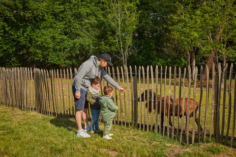 Camping La Pinède foto 4