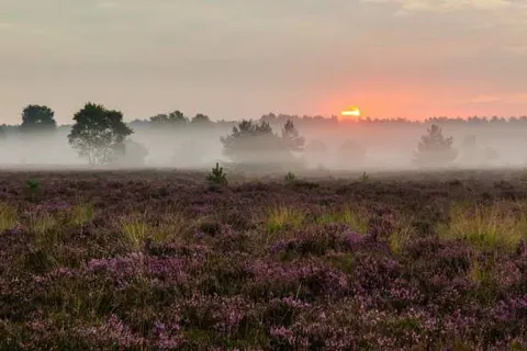 Hotel de Naaldhof foto 31