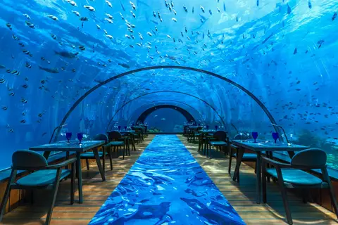 Hurawalhi Island Resort in ނައިފަރު — foto 6
