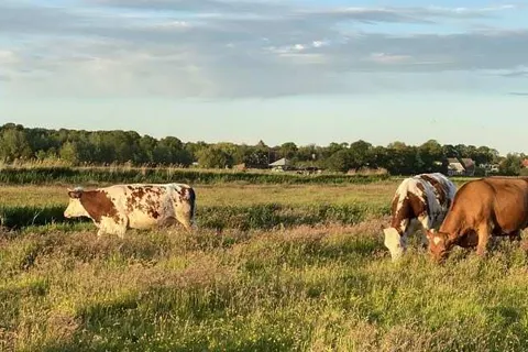 Hotel Flora Batava foto 18