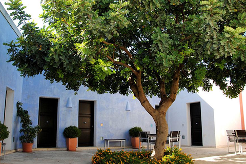 Hotel Cambiocavallo foto 30