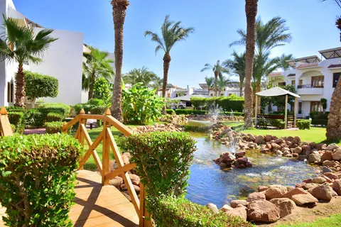 Dive Inn in Sharm El Sheikh — foto 25