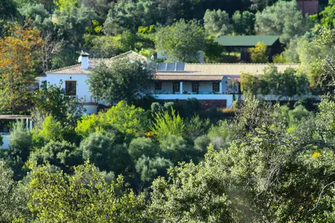 Vale Fuzeiros Nature Guest House in São Bartolomeu de Messines — foto 4