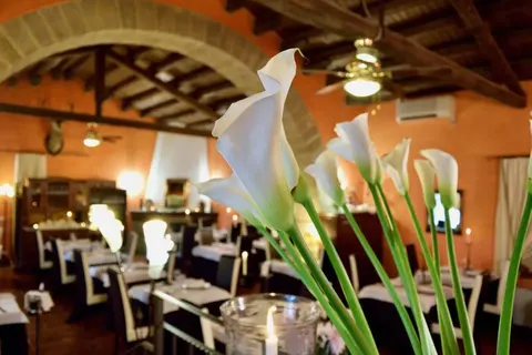 Agriturismo Vecchia Masseria foto 20