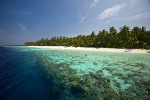 Filitheyo Island Resort in Filitheyo — foto 23