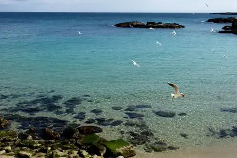 Hotel La Corvetta in Monopoli, foto 17