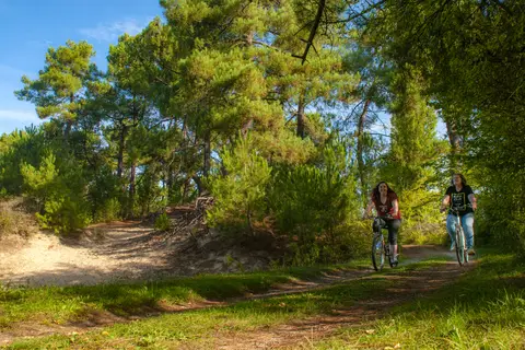 La Dune Blanche in Camiers — foto 10