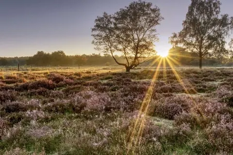 Parkhotel Horst foto 32