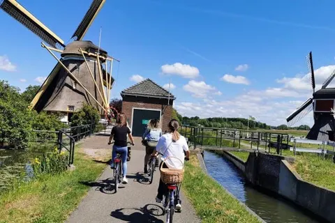 Carlton President foto 32