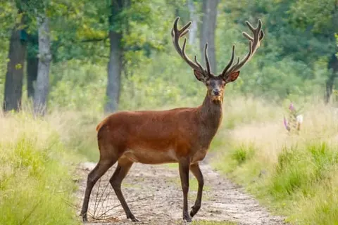 Landgoedhotel Villa Vennendal foto 55