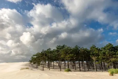 Vakantiepark Schoorlse Duinen foto 8