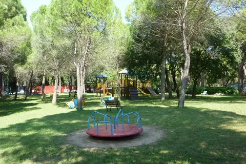 Belvedere Pineta in Belvedere — foto 12