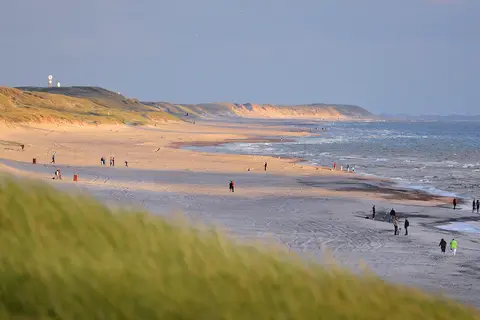 Dancamps Holmsland in Haurvig — foto 2