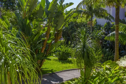Dorisol Buganvilia Studio Hotel in Funchal — foto 14