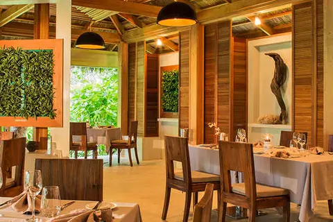 Kuramathi Island Resort in ރަސްދޫ — foto 20