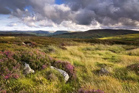 Ontdek Ierland in 8 dagen in Ierland — foto 8