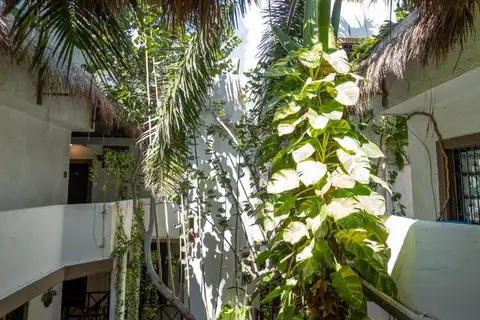 Posada Mariposa Boutique Hotel in Playa del Carmen — foto 12