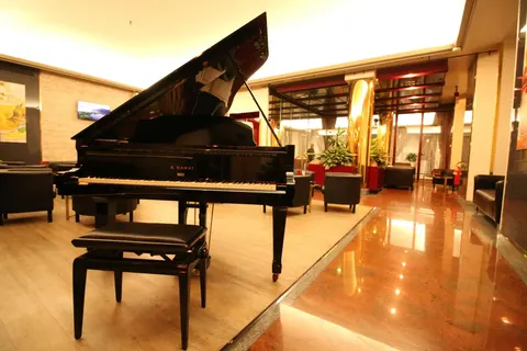 Hotel Diplomatic foto 9