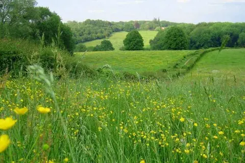 Bungalowpark Landsrade foto 23