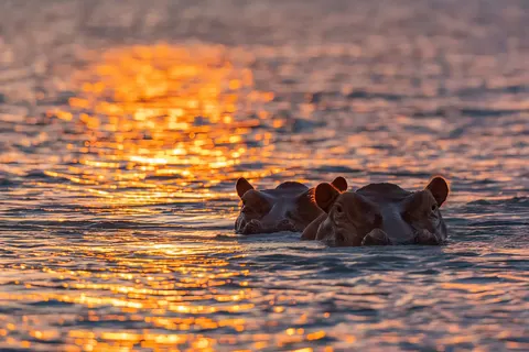 Geheime Schatten van Tanzania foto 10