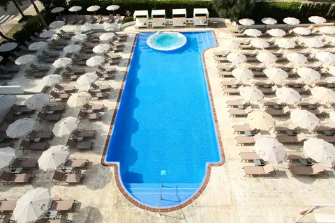Sentido Fido Tucan in Santanyí — foto 28
