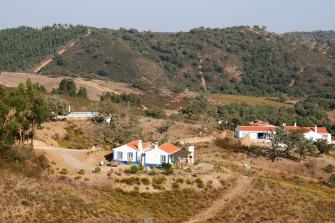 Monte do Casarão foto 5