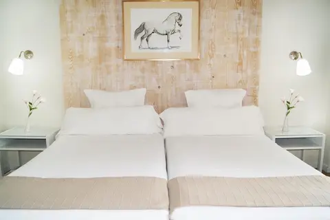 Hotel Jerez & Spa in Jerez De La Frontera — foto 29