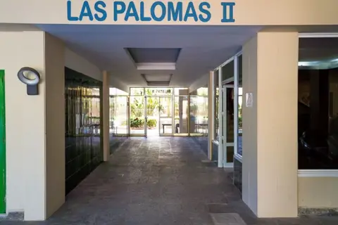 Econotel Las Palomas in Palmanova — foto 7