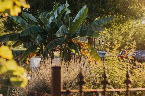 Hotel und Weingut Karlsmühle foto 17