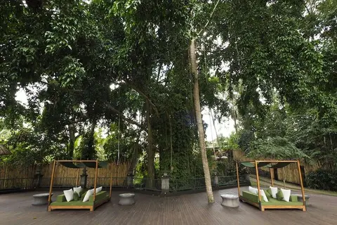 Plataran Hotel & spa in Ubud, foto 20