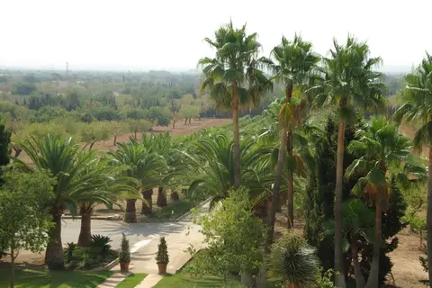 Sa Cabana Hotel Rural & SPA in Sigüenza — foto 28