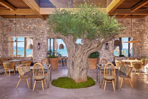 The Westin Resort, Costa Navarino in Δημοτική Ενότητα Γαργαλιάνων — foto 10