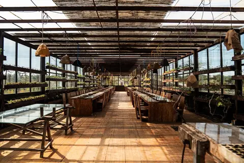 Rio do Prado in Ovar — foto 13