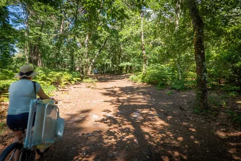 Camping Les Goélands foto 11