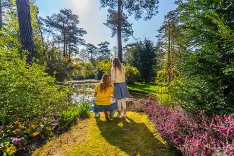 Vakantiepark Beekbergen foto 3