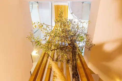 180 South Seaside Hotel in Δημοτική Ενότητα Ερμιόνης — foto 20