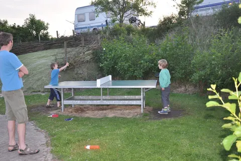 Duincamping De Lepelaar foto 2