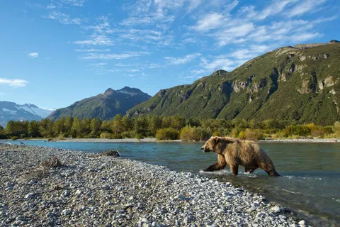 14-daagse Ontdekkingscruise Alaska foto 12