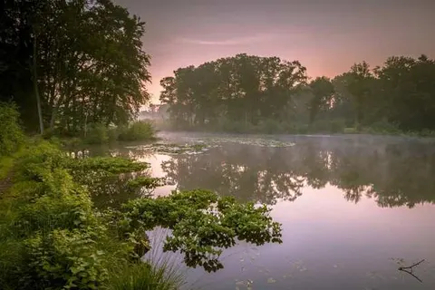 Hotel de Schout foto 26