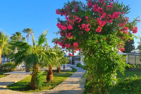 Fly & Go Explore Nagi Beach in Bodrum, foto 10