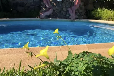 Casa Rural Doña Herminda in La Matanza de Acentejo — foto 15