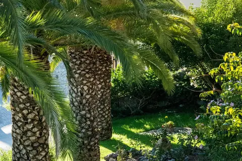 Alkion in Ίμερος — foto 13