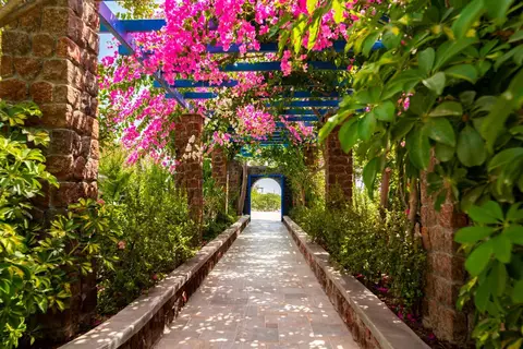 Hotel Andreas in Δημοτική Ενότητα Θήρας — foto 15