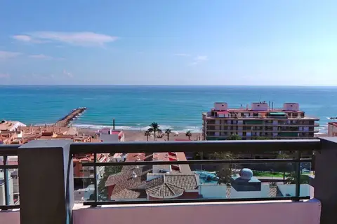 La Familia Gallo Rojo in el Campello — foto 19