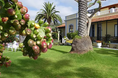 Villa Rosalva in Puerto de la Cruz, foto 9