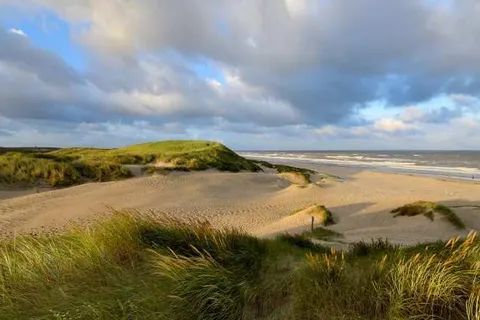 Vakantiepark Schoorlse Duinen foto 7