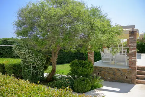 Ikies in Δημοτική Ενότητα Μυτιλήνης — foto 19